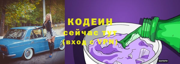 дживик Богородицк