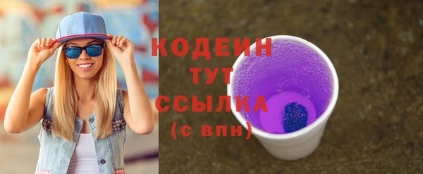 дживик Богородицк