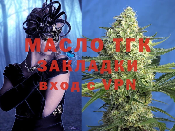 дживик Богородицк