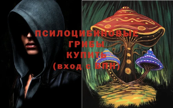 mdma Богородск