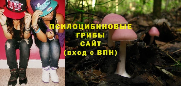 дживик Богородицк